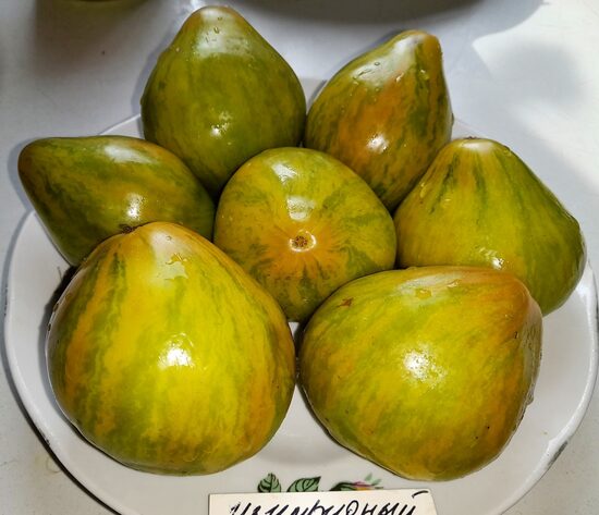 Изумрудный Эльф